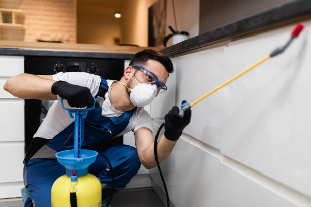 Best Flea Control Services  in Tamiami, FL