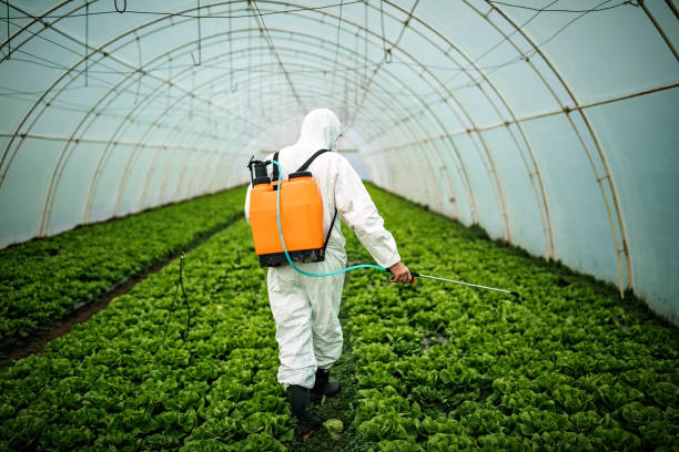 Best Commercial Pest Control Services  in Tamiami, FL