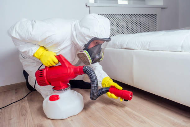 Trusted Tamiami, FL Pest Control Experts