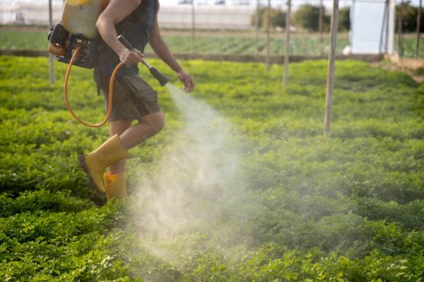 Best Best Pest Control Companies  in Tamiami, FL