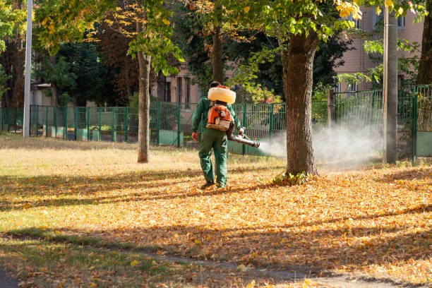 Best Residential Pest Control  in Tamiami, FL