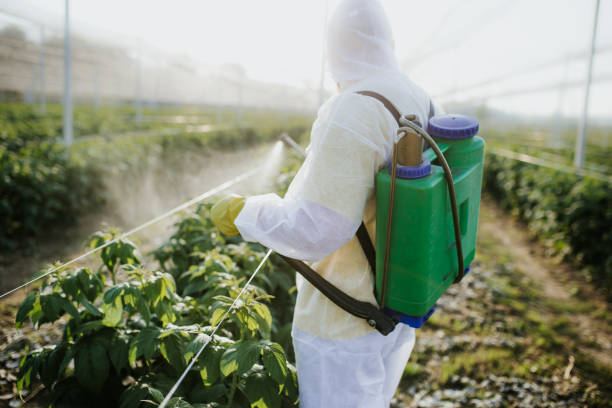 Pest Control Cost in Tamiami, FL